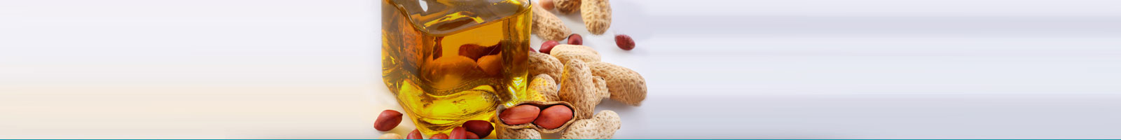 Groundnut Oil, Peanut Oil, Groundnut Oil Supplier, Double Filtered Groundnut Oil Manufacturer, Supplier of Groundnut Oil from Gujarat, India, Matangi Cotton