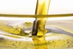  Refined Cotton Seed Oil